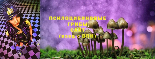 спиды Алексин